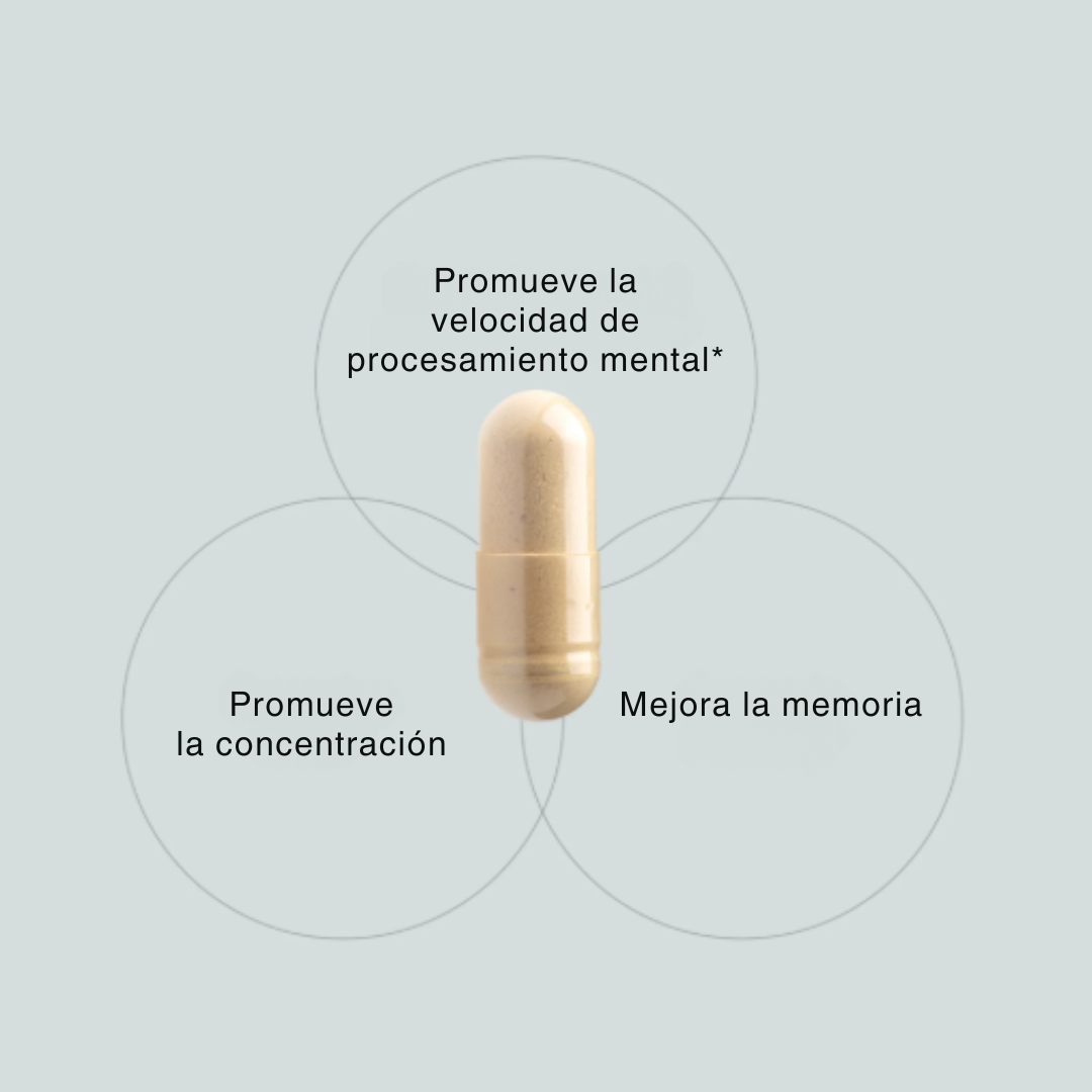 Alpha BRAIN® Cápsulas Cognitivas