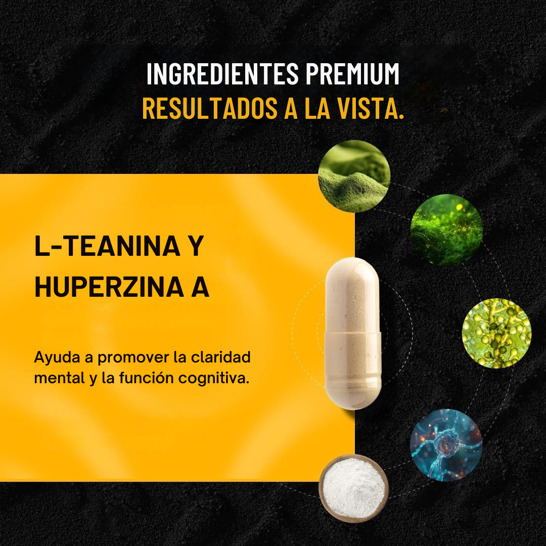 Alpha BRAIN® Cápsulas Cognitivas